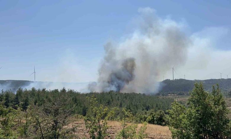 canakkalede orman yangini d7eb39602bd1 |