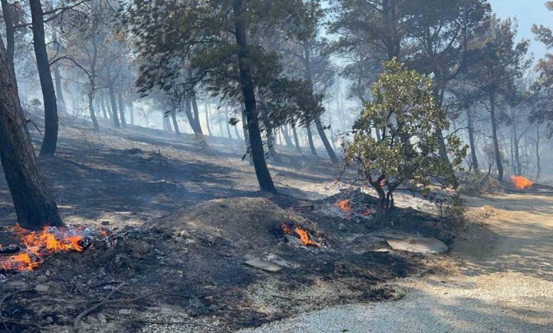 canakkalede ormanlik alana sicrayan yanginda villalar yandi c218e665a5af |