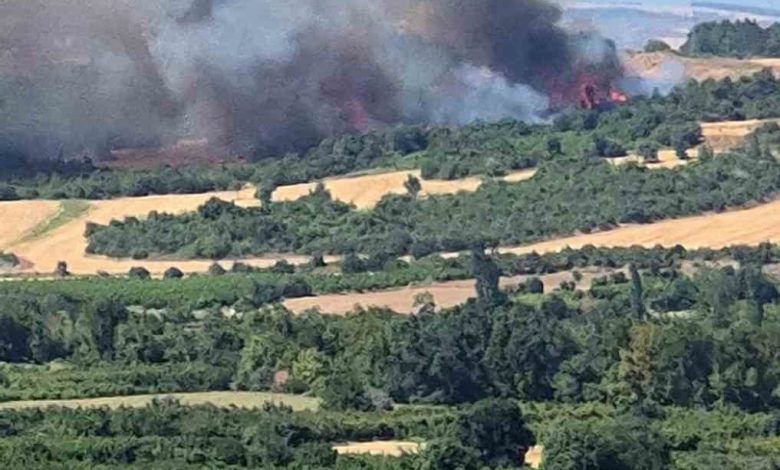 Çanakkale’de tarım arazisinde başlayan yangın ormanlık alana sıçradı 1 canakkalede tarim arazisinde baslayan yangin ormanlik alana sicradi 43ae7da28e59 |