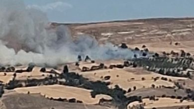 canakkalede tarim arazisinde yangin 0ba0b18ed35e |