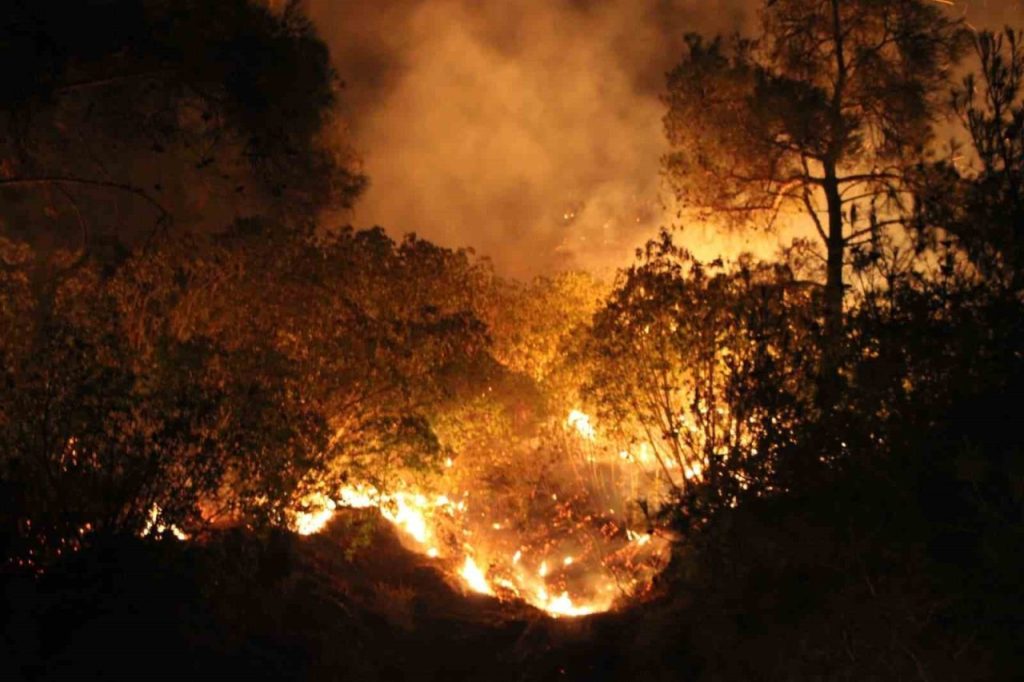 canakkalede yangin etkisini surduruyor ekiplerin mudahalesi gece de suruyor 1fa9cb89a622 |