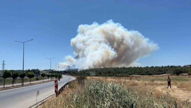 canakkaledeki yanginda tedbir amacli guzelyali bolgesindeki vatandaslar tahliye ediliyor 597b21a5c475 |