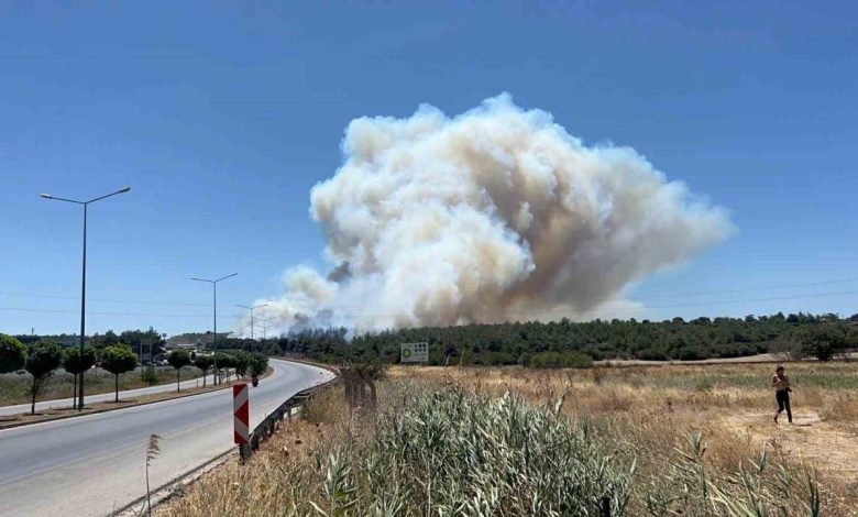 Çanakkale’deki yangında tedbir amaçlı Güzelyalı bölgesindeki vatandaşlar tahliye ediliyor 1 canakkaledeki yanginda tedbir amacli guzelyali bolgesindeki vatandaslar tahliye ediliyor 597b21a5c475 |