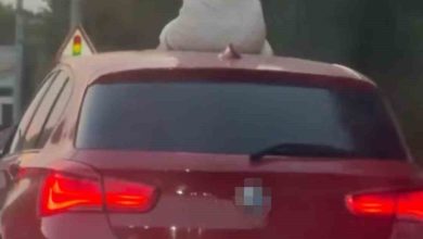 cesmede otomobil sunroofunda twerk dansi adliyelik oldu 83f7d4a5634d |