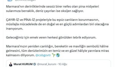 emine erdogandan marmara denizinde baslatilan pina midyeleri ve deniz cayirlari projesine iliskin paylasim 3ed41c75a753 |