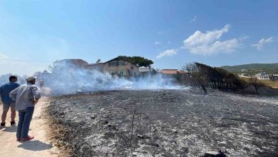 erdekte arazi yangini kisa surede sonduruldu can ve mal kaybi yasanmadi 048451358fc9 |