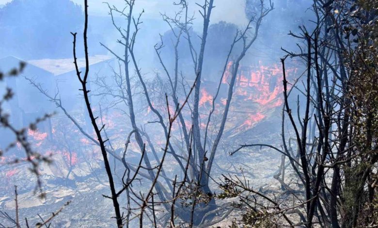 erdekte cikan orman yangini kontrol altina alindi b4b4527ad263 |