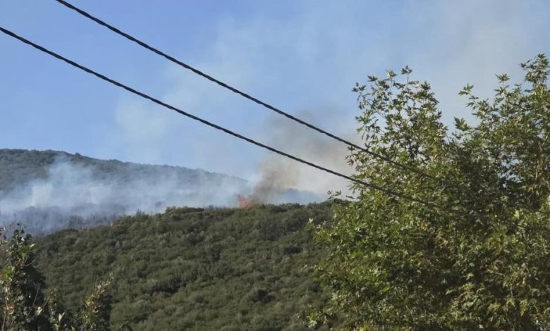 Gedelek yangını ile ilgili 1 kişi gözaltına alındı 1 gedelek yangini ile ilgili 1 kisi gozaltina alindi 5b7dd0399041 |