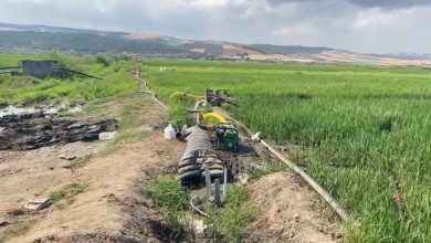 gonen ovasinda celtik tarlalari susuz kaldi 0ae43e178524 |