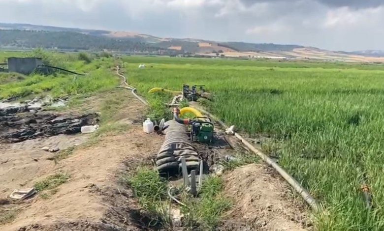 Gönen Ovası’nda çeltik tarlaları susuz kaldı 1 gonen ovasinda celtik tarlalari susuz kaldi 0ae43e178524 |