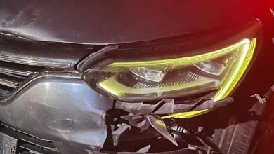 inegolde otomobilin carptigi ayi telef oldu 55b5e98a296a |