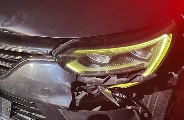 inegolde otomobilin carptigi ayi telef oldu 55b5e98a296a |