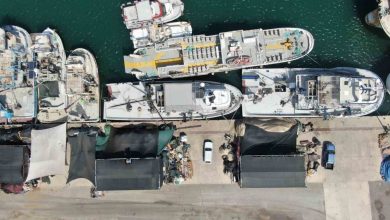 izmirde deniz kirliligi baligi vurdu sardalyasiz sezon kapida ec7fa183132b |