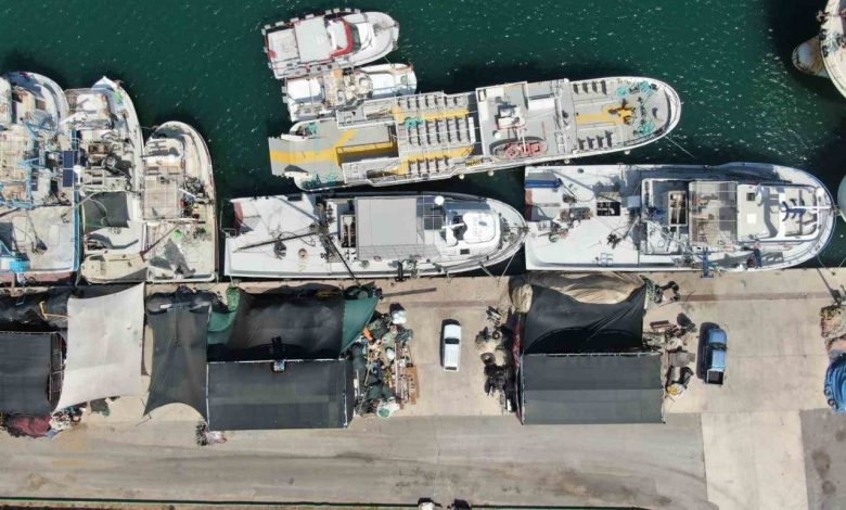 İzmir’de deniz kirliliği balığı vurdu: Sardalyasız sezon kapıda 1 izmirde deniz kirliligi baligi vurdu sardalyasiz sezon kapida ec7fa183132b |