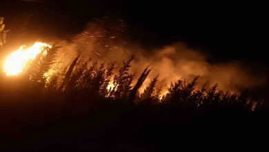 izmirde makilik ve ormanlik alanda yangin a7473aeb7da3 |
