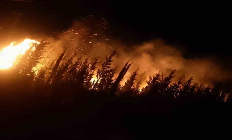 izmirde makilik ve ormanlik alanda yangin a7473aeb7da3 |