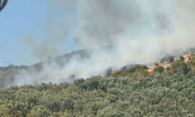 İznik’te orman yangını 1 iznikte orman yangini d66c31f9c16d |