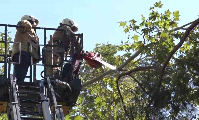 kadikoyde kuvvetli ruzgar agaci kirdi a425178ea3a7 |