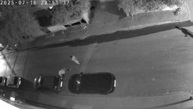 kavga eden genc sinirini arabadan cikardi 6da2555d52d0 |
