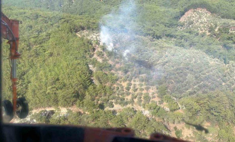 kazdaglari milli parkinda cikan yangin kisa surede sonduruldu d846a2b396b7 |