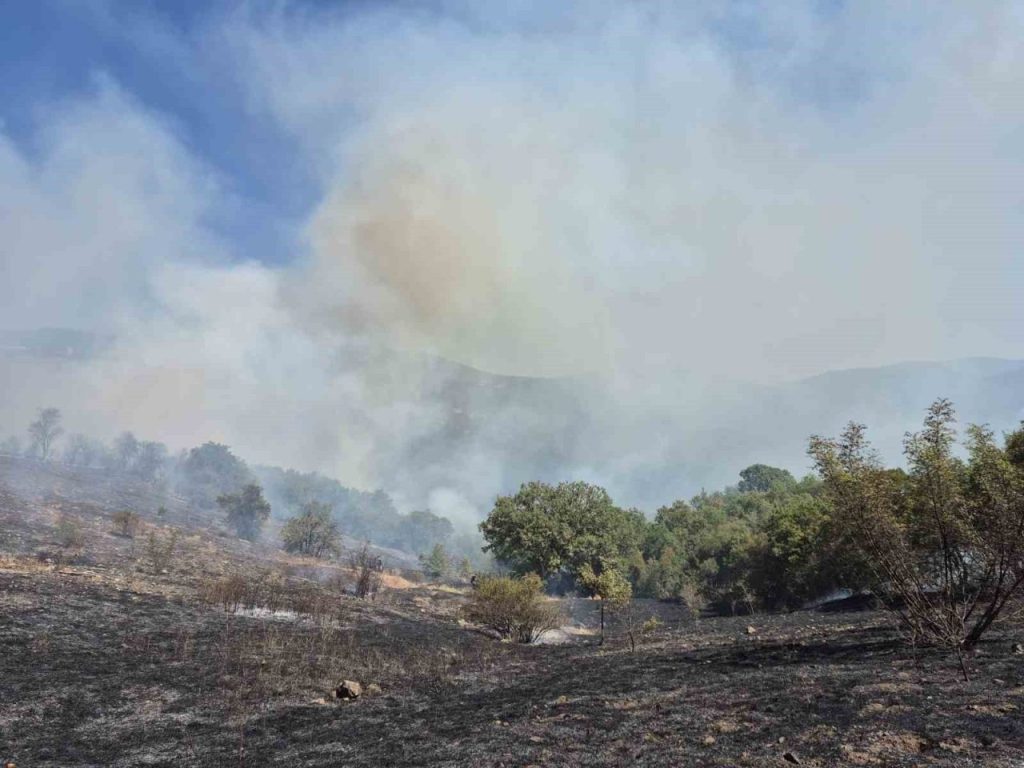 kepsutta orman yangini 345caa6f61ae |