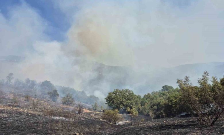 Kepsut’ta orman yangını 1 kepsutta orman yangini 345caa6f61ae |