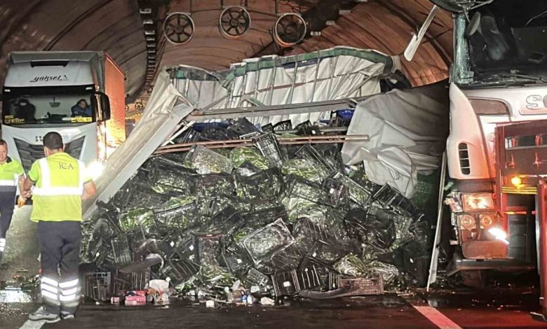 Kuzey Marmara Otoyolu’nda sebze yüklü tır devrildi: Kilometrelerce araç kuyruğu oluştu 1 kuzey marmara otoyolunda sebze yuklu tir devrildi kilometrelerce arac kuyrugu olustu ffe5a37a38bf |