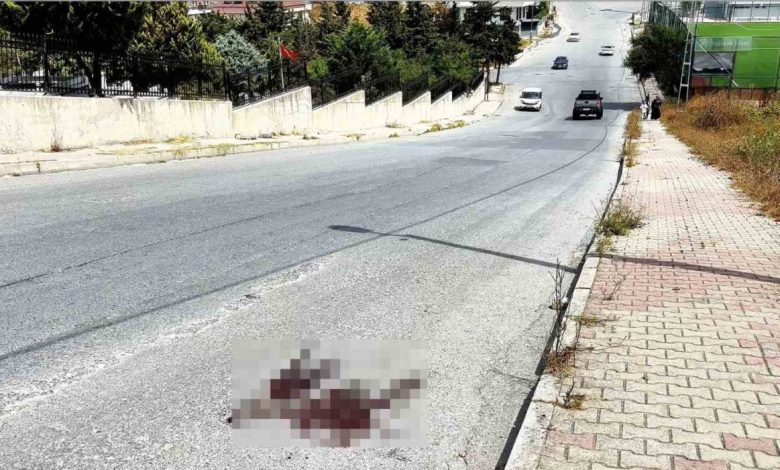 mezarlik onunde kardes kavgasi cinayetle bitti 1 olu 89a4d94ef1ee |