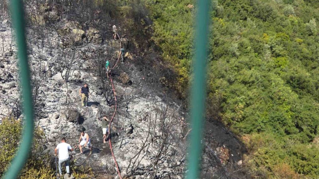 orhangazide orman yangini korkuttu 85660dc6f1af |