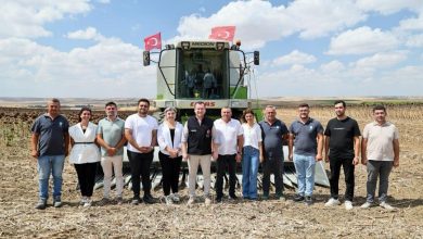 silivride yaklasik bin 500 dekar alanda aycicegi hasadi basladi ad66161cecaf |