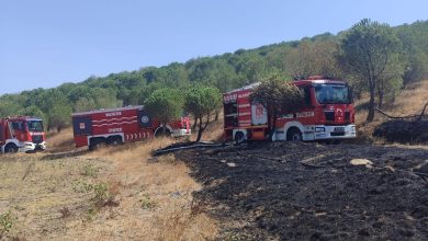 susurlukta orman yangini kontrol altina alindi fd56322aa34b |