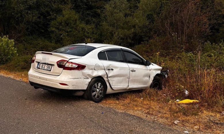 tarlaya ucan otomobildeki 5 kisi yaralandi a6a3121474a7 |