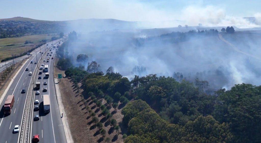 tem otoyolu kenarindaki agaclik alanda cikan yangin sonduruldu 6df75cb8cd4b |