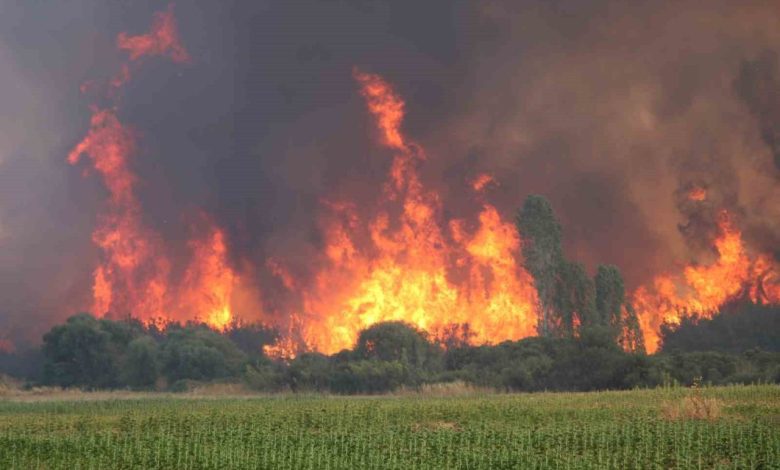 Yangınlara karşı keçi çözümü 1 yanginlara karsi keci cozumu 3d42acc31a67 |