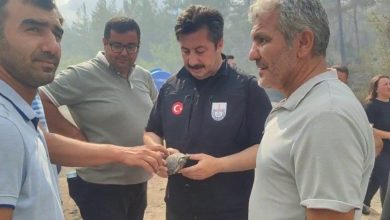 yenisehir belediye baskani ozel yangindan etkilenen kaplumbagaya suyla mudahale etti 6a298248b05d |