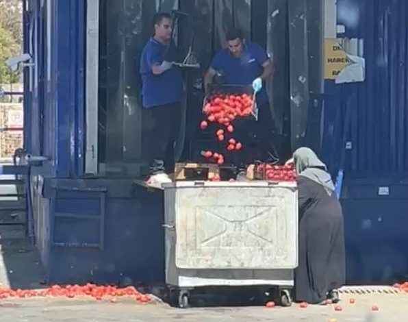 zincir markette kasalar dolusu domates cope dokuldu o anlar tepki topladi 25d758a1b149 |