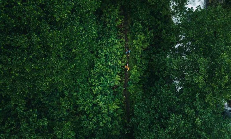 ahmet temurci rizede duzenlenecek utmb world series hakkinda bilgi verdi 16c3ab89c965 |