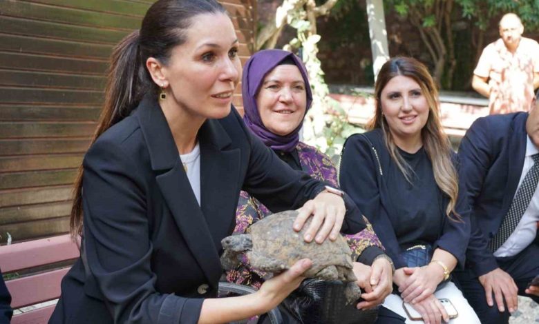 ak parti genel baskan yardimcisi karaaslan cozum uretme gayreti icerisinde olmak bizim dusturumuz biz bunu sayin cumhurbaskanimizdan gorduk 5518c6a34708 |