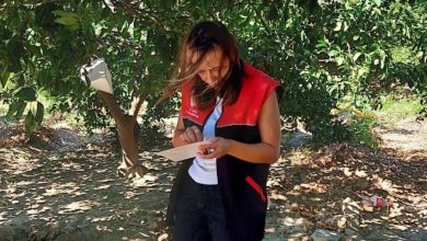 akdeniz meyve sinegi uyarisi 0c38d96f491f |