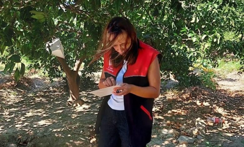 akdeniz meyve sinegi uyarisi 0c38d96f491f |