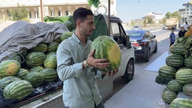 arnavutkoyde hirsiz tezgahtan 15 karpuz caldi o anlar kamerada e9e165b42a2d |