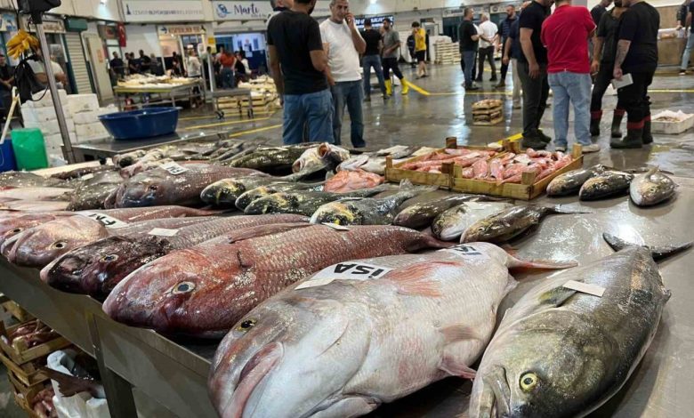 av sezonu basladi izmir balik hali bereketle doldu ad4f61fba60c |