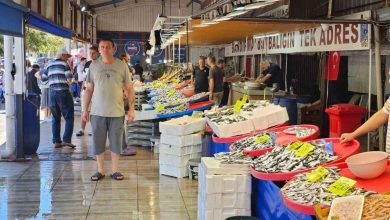 av yasagi kalkti balik tezgahlari senlendi 7597e62d9bcb |