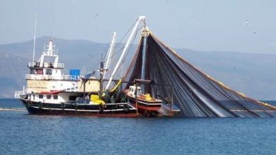 bakan uraloglu 184 milyar lira destegin 47 milyar lirasi balikcilik faaliyetleri gosteren gemilere yapildi 2c637c0f16b7 |