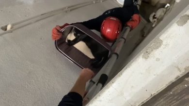 balikesirde apartman bosluguna dusen kedi yarali olarak kurtarildi fa7e00f8820e |