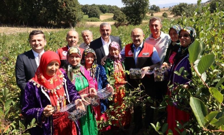 Balıkesir’de ilk aronya hasadı 1 balikesirde ilk aronya hasadi 19e44ca4cd8a |