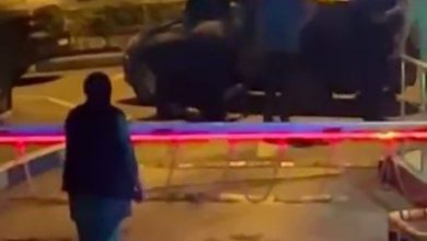 Başakşehir’de alkollü şahıs polis ekiplerine zor anlar yaşattı: O anlar kamerada 6 basaksehirde alkollu sahis polis ekiplerine zor anlar yasatti o anlar kamerada 98ec73277929 |