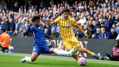 brighton hove albion chelseayi deplasmanda yendi 41903591e960 |