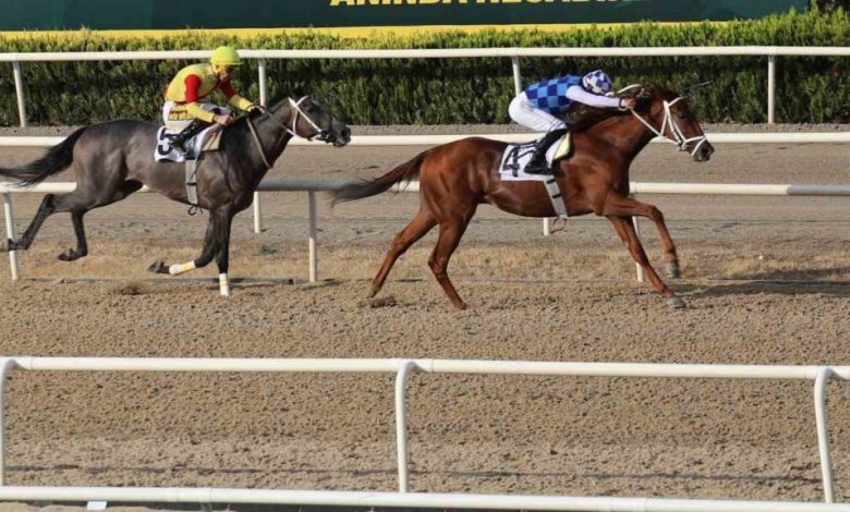 bursada buyuksehir baskanlik kosusu 17bfe94b12db |