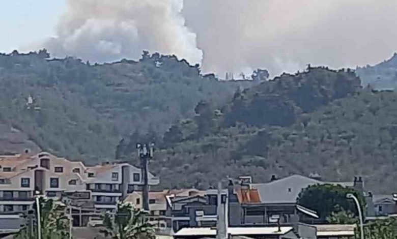 Bursa’da orman yangını 1 bursada orman yangini 5886c4d7d07b |